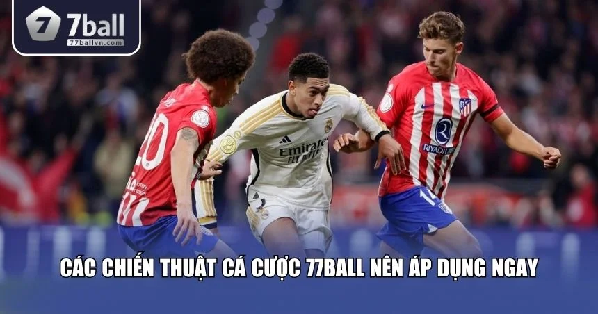 Các chiến thuật cá cược 77Ball nên áp dụng ngay