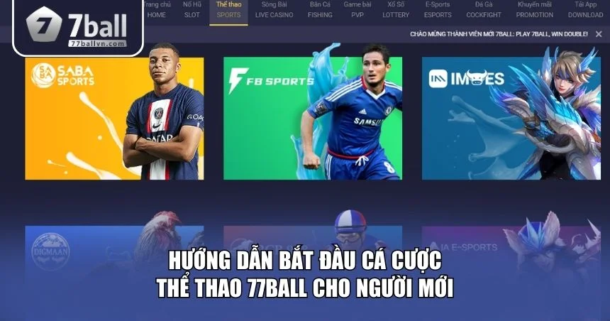Hướng dẫn bắt đầu cá cược thể thao 77Ball cho người mới